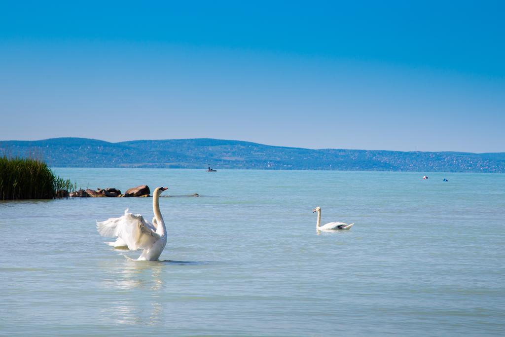 Apartman Riva Siófok Quarto foto